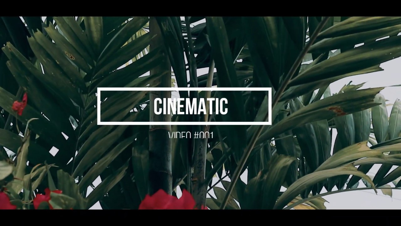 HOME QUARANTINE | Cinematic Video | Canon EOS M10