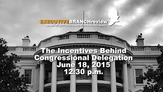 The Incentives Behind Congressional Delegation