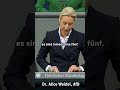 Alice Weidel über den Zustand Deutschlands #afd #politik #deutschland