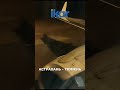 Анонс рейса &quot;Икар&quot;: Астрахань - Тюмень на Embraer 190 | Ikar | Astrakhan - Tyumen | Russia