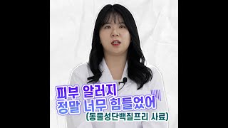 [강아지알러지] 동물성단백질프리 강아지 피부 알러지사료 '케어브이 알러프 스킨' 소개