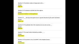 FREE AND STUDY GAMES ABOUT THE RESP. SYSTEMEXAM QUESTIONSActual Qs and Ans Expert screenshot 3
