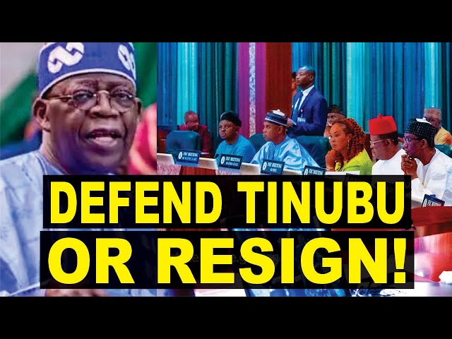 Tinubu Marching Orders To Northern Politicians, Defend Me Or Resign As Matawale & Baba Ahmed Clash class=