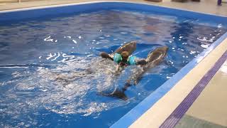 Дельфинотерапия в Москвариуме! 2 дельфина счастье в квадрате!!!