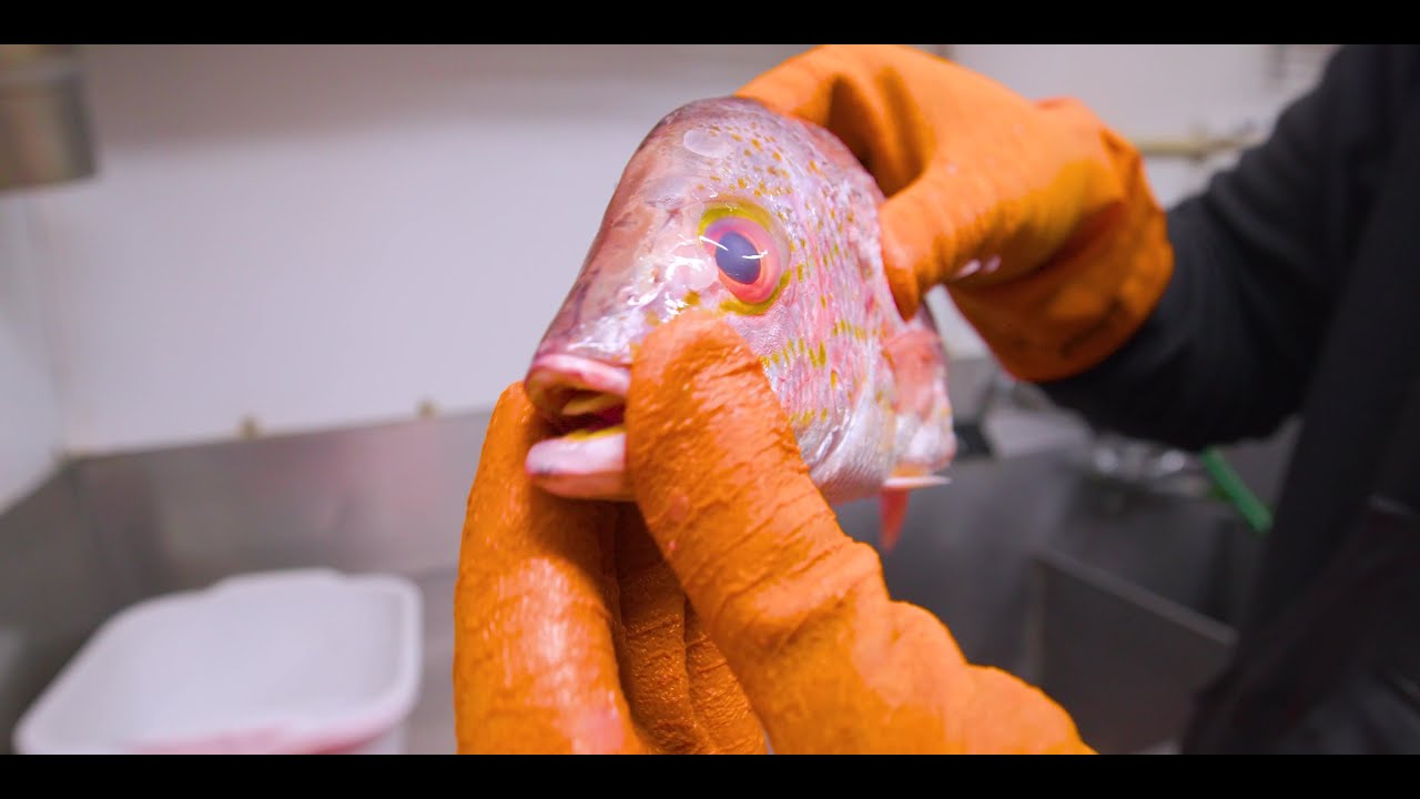 Big Baby Scumbag Fish Fry (Official Music Video) YouTube