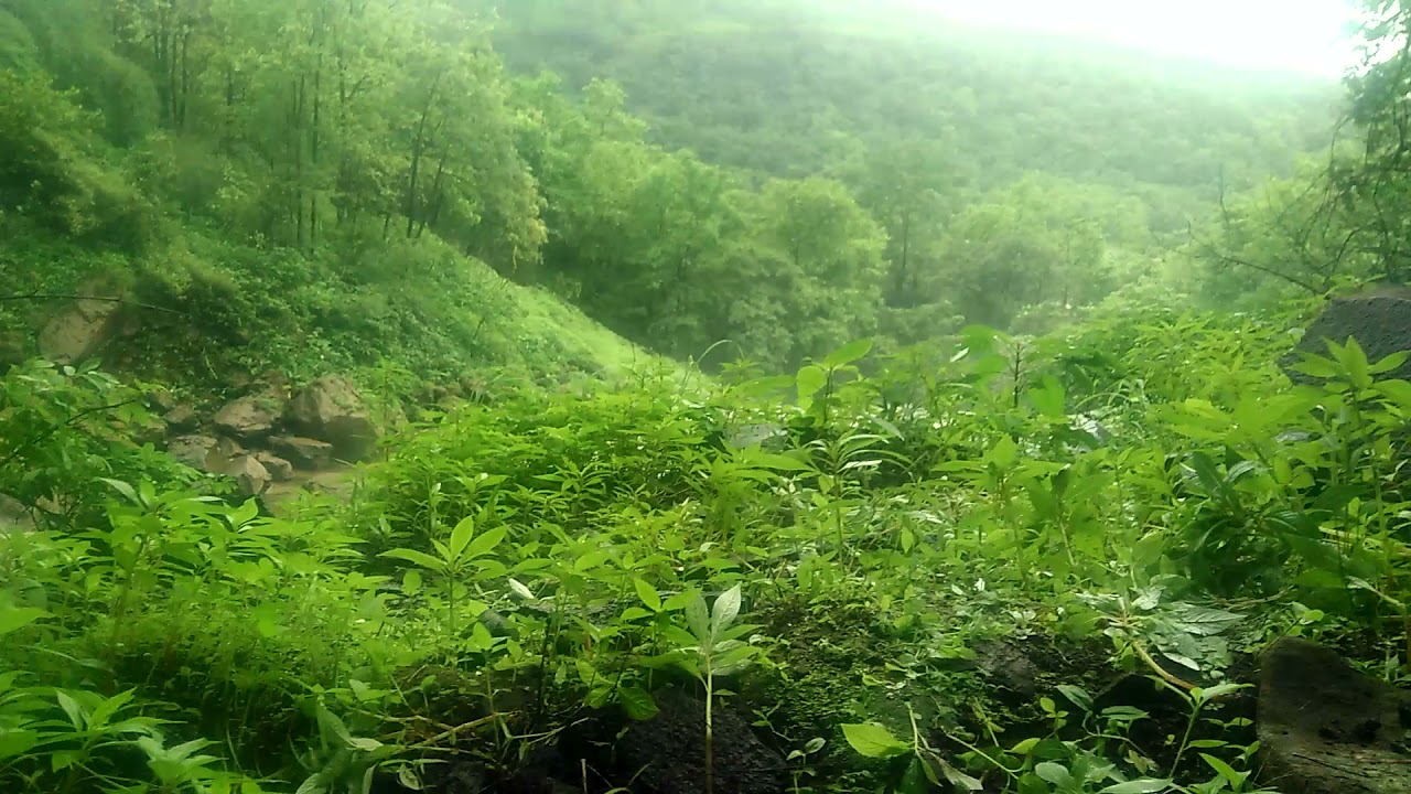 Kalsu Waterfall Best Nature Place||Location-Vile(Raigad-Maharashtra)