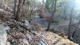 2025 Biking Mt Lowe to Middle Sam Merrill Trail after the Altadena brush fire..