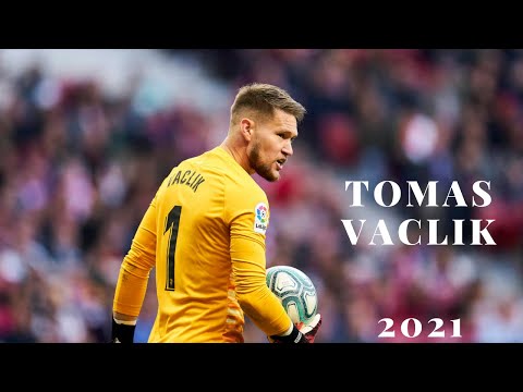 Tomas Vaclik 2022/2023 ► Best Saves and Highlights [HD]