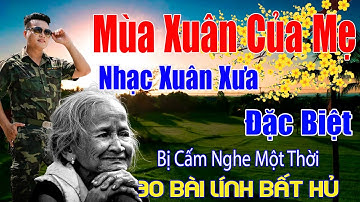 Mùa Xuân Của Mẹ, Câu Chuyện Đầu Năm  - Nhạc Xuân 2025  ...Tết Mở To Nhạc Này May Mắn, Phát Tài