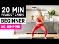NO JUMPING 20 Min Beginner Full Body FAT BURN Workout (Apartment Friendly, No Equipment)