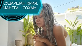 видео: СУДАРШАН КРИЙЯ с мантрой СО-ХАМ. Мантра дыхания. Пранаямы для начинающих. Я есть! Сат Нам! картинка: СУДАРШАН КРИЙЯ с мантрой СО-ХАМ. Мантра дыхания. Пранаямы для начинающих. Я есть! Сат Нам!