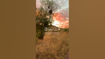 وَقُل رَّبِّ أَعُوذُ بِكَ مِنۡ هَمَزَٰتِ ٱلشَّيَٰطِينِ ،تلاوة هادئة مريحة للقلب، القارئ إسلام صبحي