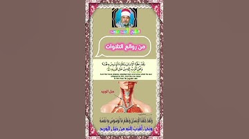 الشيخ||سيد سعيد #تلاوة_خاشعة #ستوري_قرآن#تلاوات_نادرة