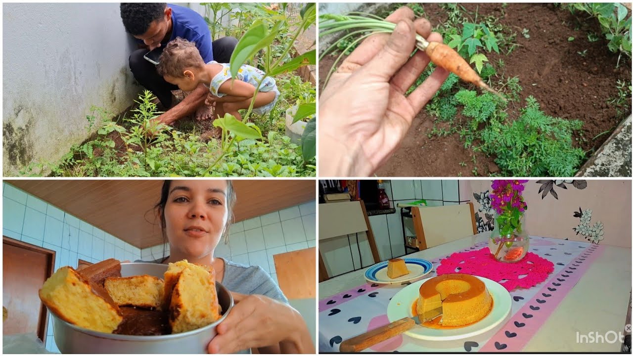 Cuidando da horta,olha como ta as🥕+receita pudim de café o melhor q ja fiz+comunicado importante