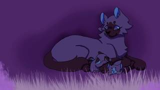 Hawkfrost AU MAP//part 1.
