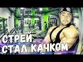 СТРЕЙ СТАЛ КАЧКОМ! РАЗГОВОР С ТРАКТОРОМ И ЛАМПОВАЯ ЗАРУБА НА ФАНТОМКЕ