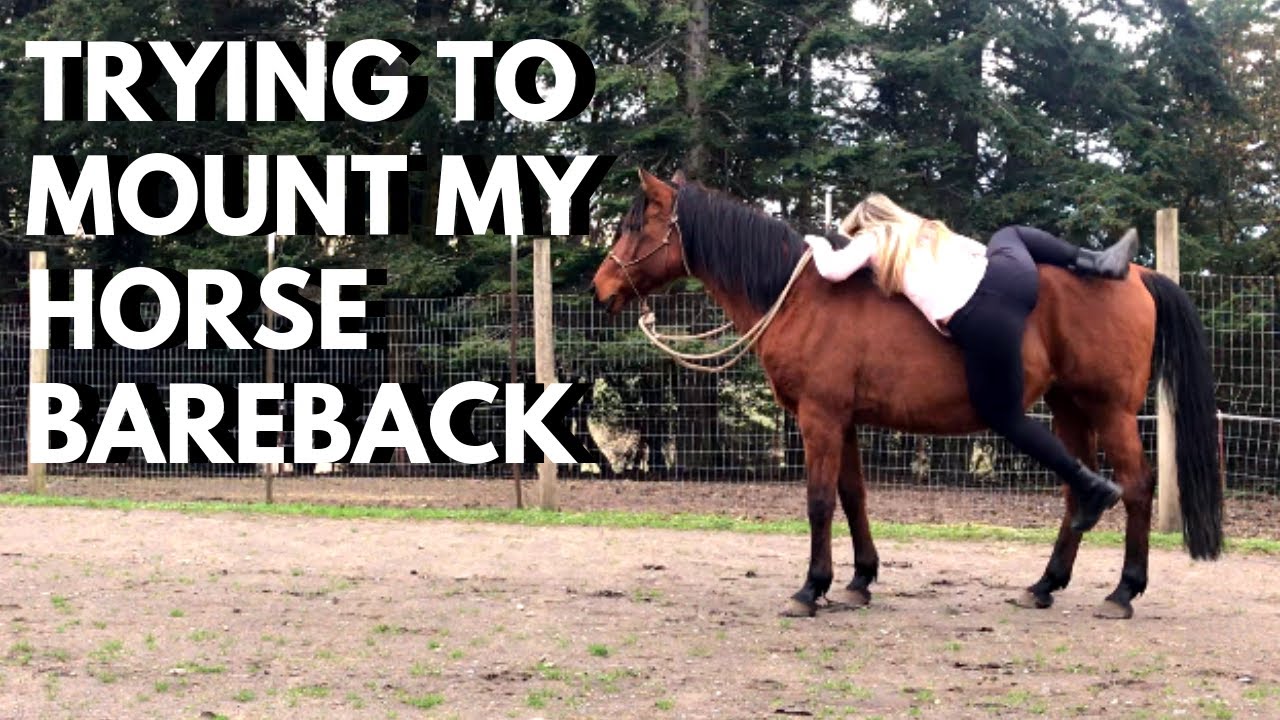 Mounting my horse bareback Gypsy Equestrian YouTube