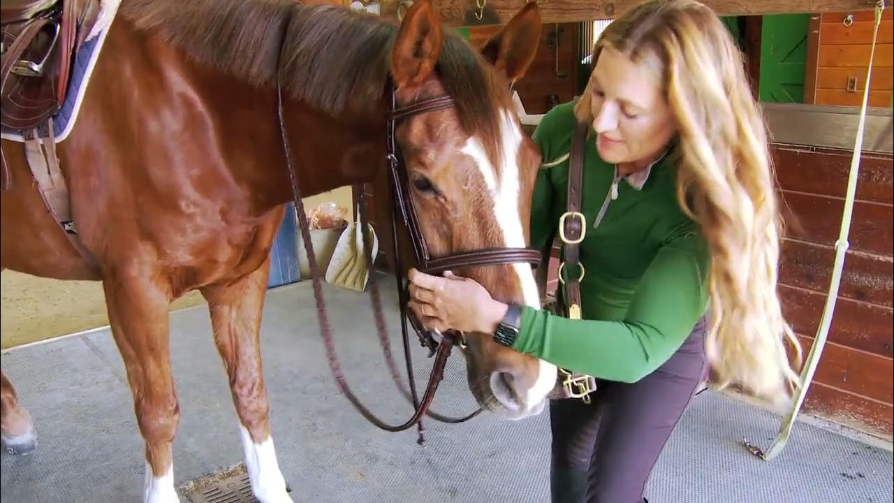 15 Horse Riding Basics with Rebecca 05 How to bridle your horse YouTube