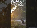 Привет, бабуль! Похолодало, осень наступает, зима близко