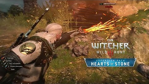 The Witcher 3  🎮  Side Quests  - A Surprise Inheritance -  Treasure hunts