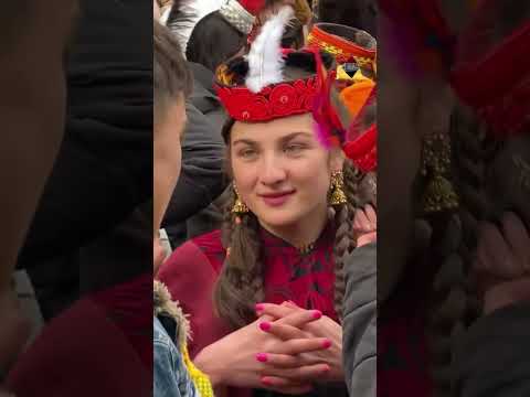 حياة من دون فلوس ومهر البنية دجاجة تقرير خالد شهيد 