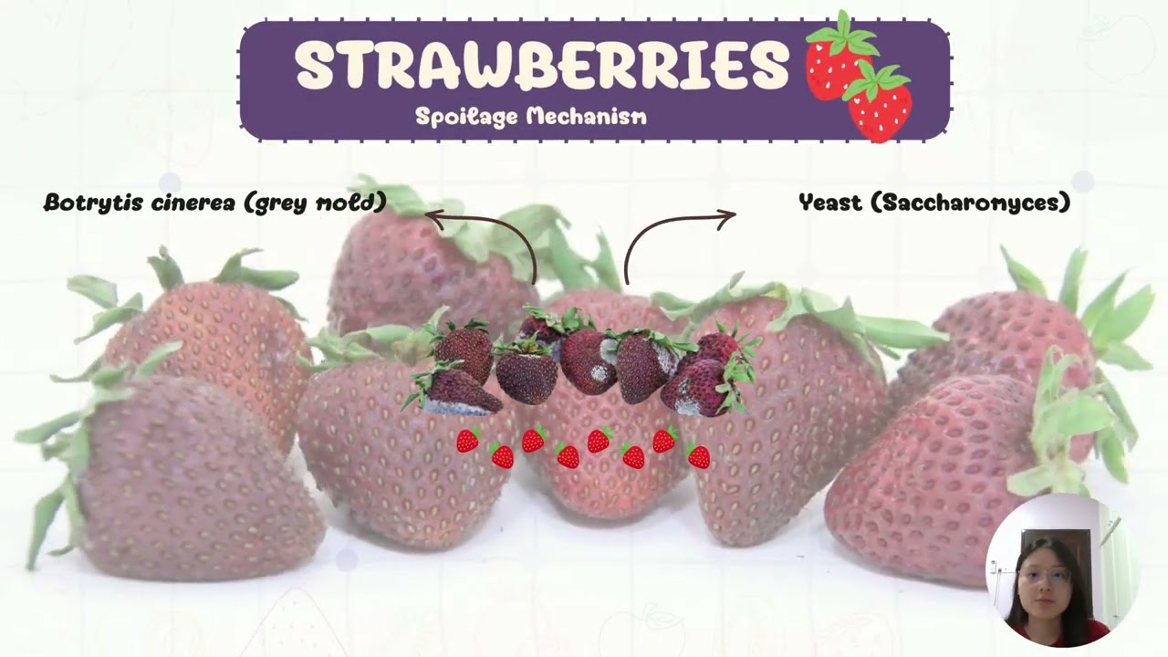 IMG222 VIDEO ASSIGNMENT - Spoilage of Fruits