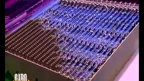 C:\Documents and Settings\Administrator\My Documents\Downloads\Video\dj_malangee.mp4