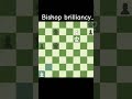 Chess Challenges pt 324 #chesstime #brilliantmove #bishop #checkmate #xeque #xadrez #hard #bestmove