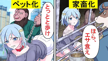 人間アニメ