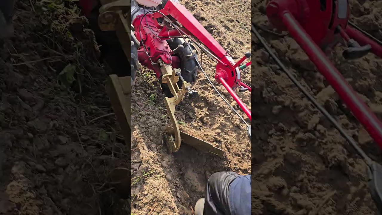 Хозяева оценят эту машину. #мотоблок #farming #агротехнологии #agriculture