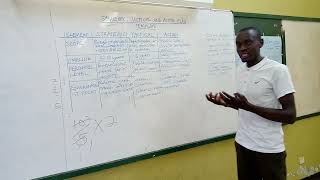 Strategic plan Tactical plan and Action plan template