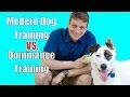 The Dominance Myth in Dog Training Explained