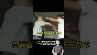 This is how you train Wing Chun,You don't need a massive gym—it's all about hand reflexes #wingchun