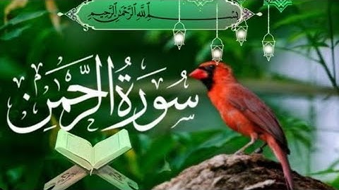 تلاوة خاشعة لسورة الرحمان surah rahman