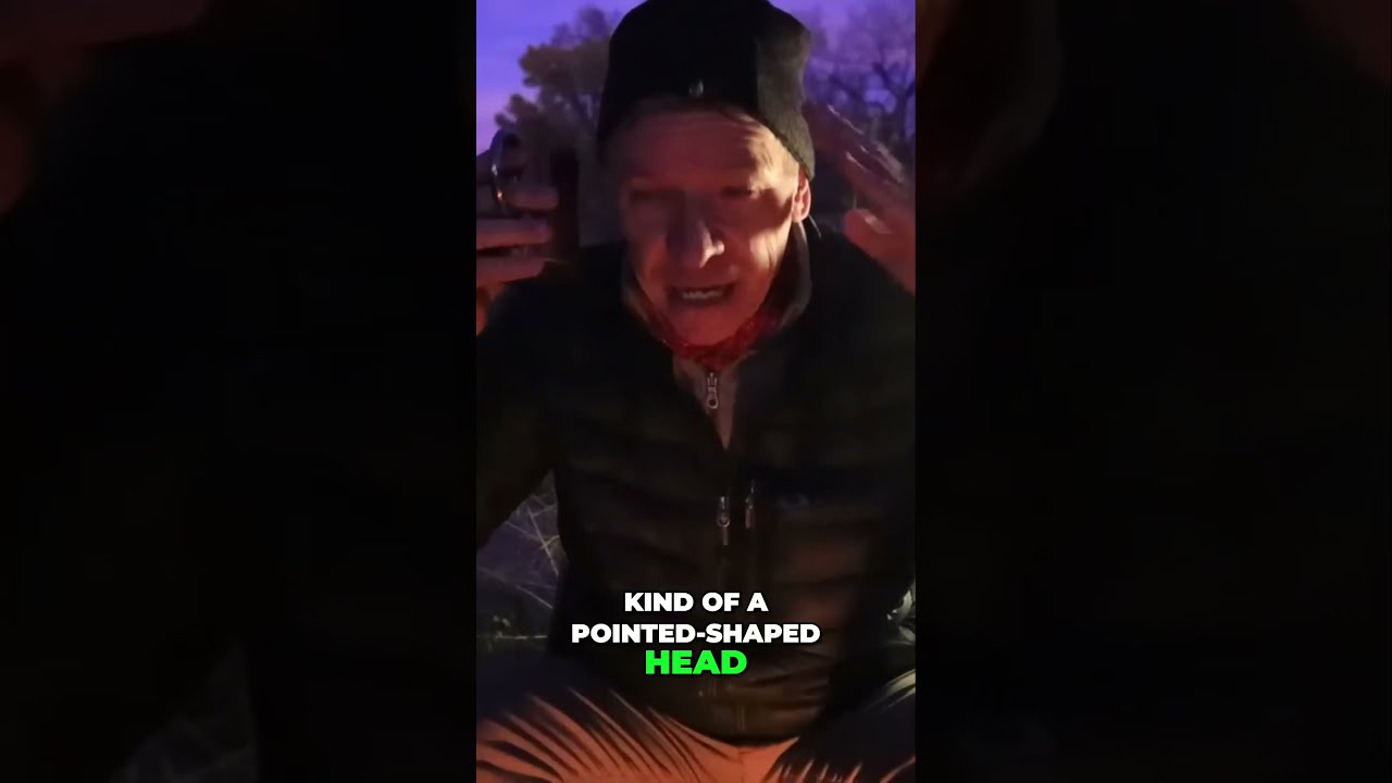 Terrifying Swamp Creature Witness Accounts Of Unexplainable Encounter Campfirestories