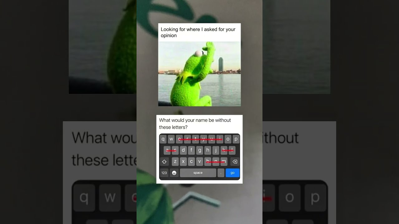 Looking For Where I Asked Your Opinion Memes Funny
