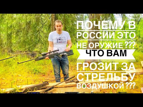 ВСЁ ЧТО ДОЛЖЕН