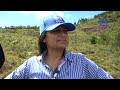 INDRHI realiza reforestación en Rancho Arriba, provincia San José de Ocoa