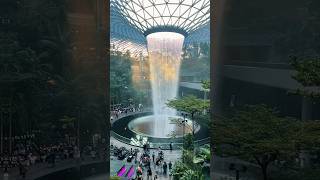 #singapore #trending #viral #shorts #shortvideo
