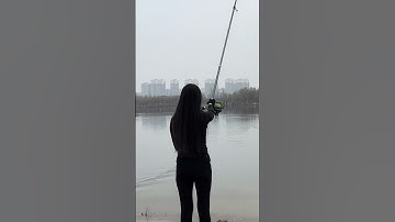 Cần câu lục siêu cứng 4,5m, 4li câu cá bạo lực 25kg - telescopic rod carp #fishingrod #shorts