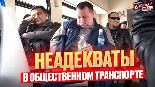 видео: ТРЕШ в Общественном Транспорте: Когда Быдло и Истеричка оказались в одной маршрутке! Шок Контент картинка: ТРЕШ в Общественном Транспорте: Когда Быдло и Истеричка оказались в одной маршрутке! Шок Контент