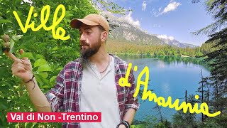 Discovering VILLE D'ANAUNIA (Trentino - Italy)