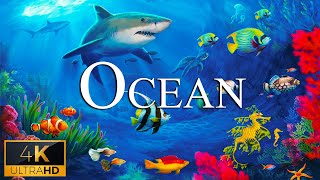 The Ocean (4K UltraHD) - Scenic Wildlife Film With Calming Music - Nature 4k Video Ultra HD