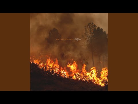 Wildfire - American Aquarium