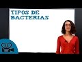 Tipos de bacterias