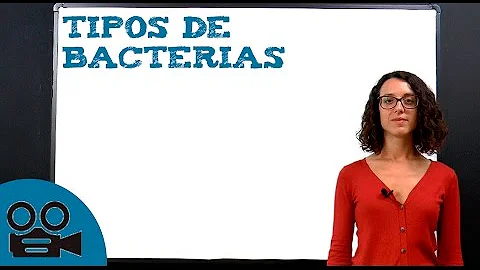 ¿Cuáles son los 6 tipos de bacterias?