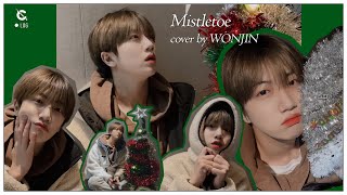 Download lagu [C-LOG] WONJIN 원진 'Mistletoe' Cover l CRAVITY (크래비티)