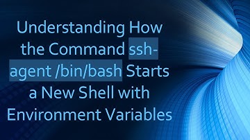 Understanding How the Command ssh-agent /bin/bash Starts a New Shell with Environment Variables