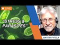 What do parasites do to stress your body and mind herbal solutions