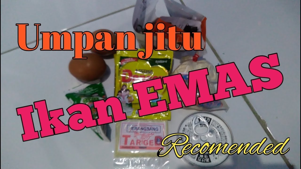 CARA BIKIN UMPAN JITU IKAN EMAS